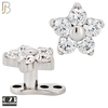 G23-DM23 - G23 Titanium Anchor with Surgical Steel Five Petal Flower Dermal Top image 0