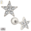 925-ES419 - Screw Ball Back - 925 Sterling Silver 5mm Star with Multi CZ Stud Earrings image 0