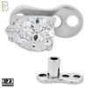 G23-DM20 - G23 Titanium Anchor with Surgical Steel Pear Shaped Clear CZ Dermal Top image 2