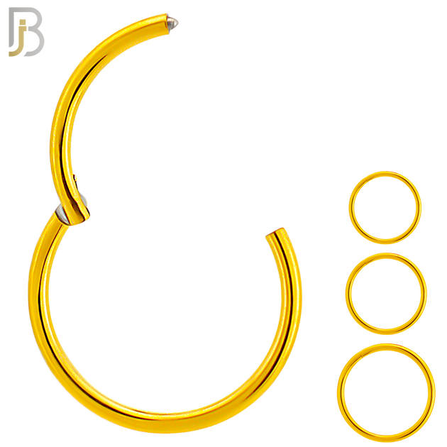 CT10G - Gold Plated 316L Surgical Steel Hinged Hoops Plain (PACK OF 6) image 0