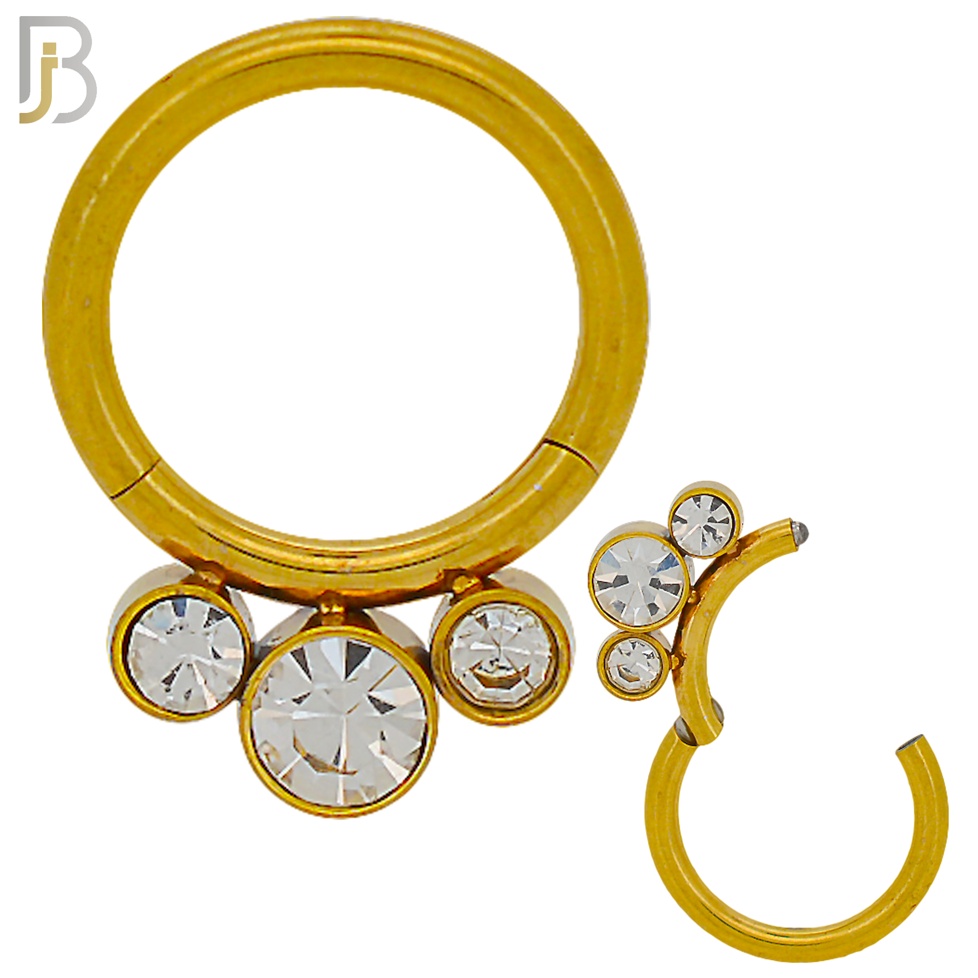 CT89 -  316 Stainless Steel Hinged Hoop with CZ Gems Nose Rings (PACK OF 6) image 1