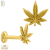 14-LB42 - 14k Yellow Gold Plain Marijuana Labret - Yellow Gold image