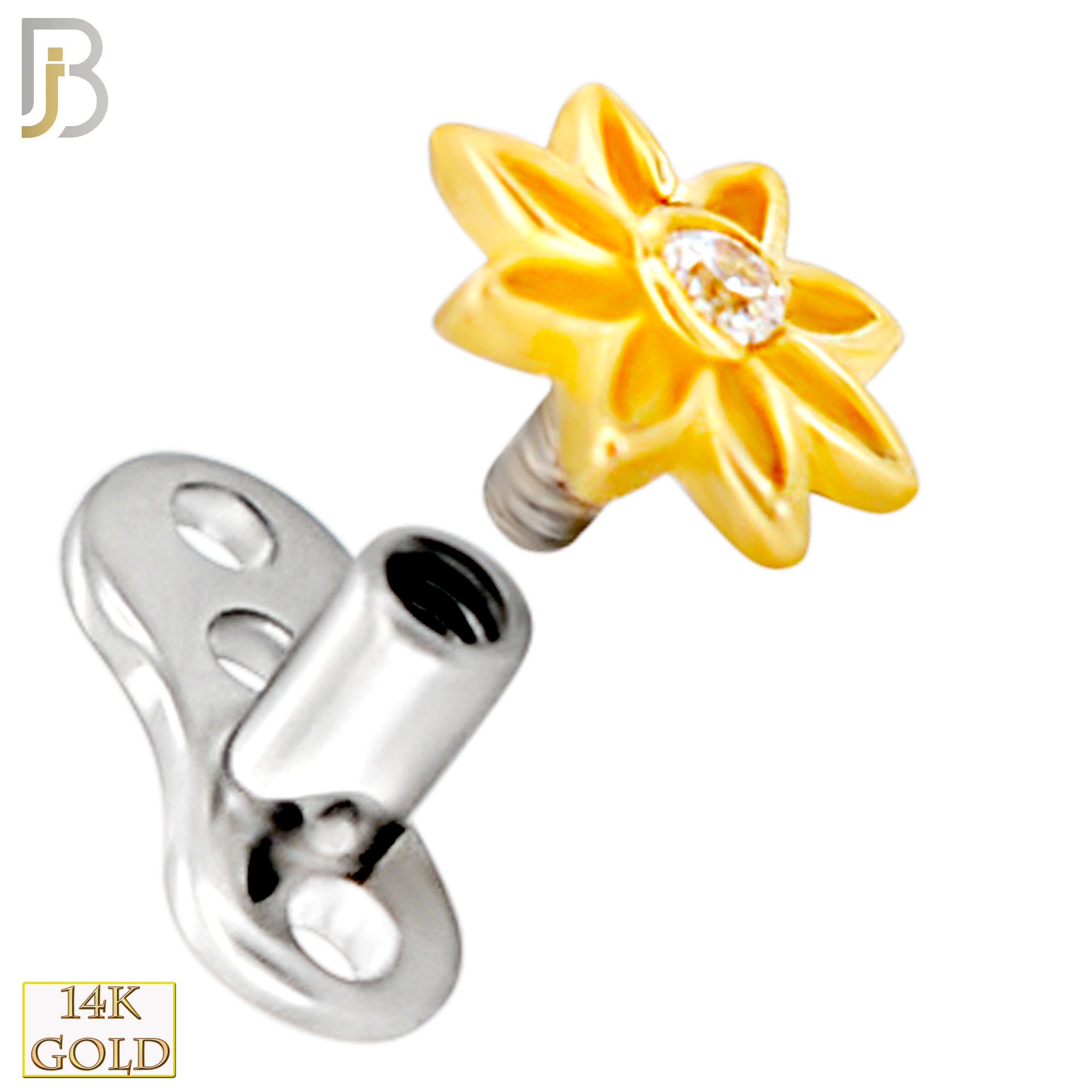 14-G23-DM22 - 14k Titanium Anchor and 14k Gold Top Flower Dermal - Internally Threaded image 1