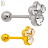 TB71 - 316L Stainless Steel Paw Print with CZ Gems Tragus/Cartilage Barbell (PACK OF 6) image 0