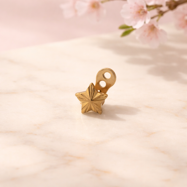 G23-DM26 - 14g G23 Titanium Anchor paired with a Surgical Steel Star Dermal Top (Pack of 6)