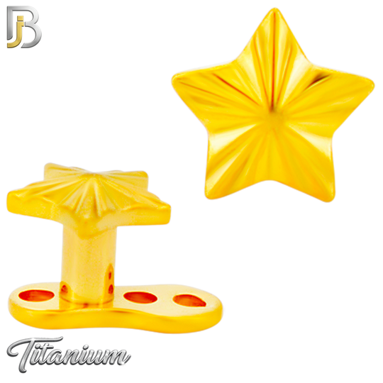 G23-DM26 - 14g G23 Titanium Anchor paired with a Surgical Steel Star Dermal Top (Pack of 6)