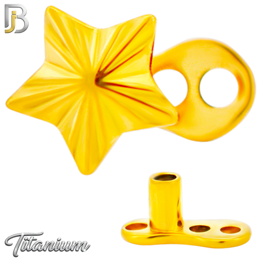 G23-DM26 - 14g G23 Titanium Anchor paired with a Surgical Steel Star Dermal Top (Pack of 6)