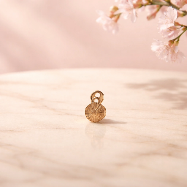 G23-DM27 -  14g G23 Titanium Anchor paired with a Surgical Steel Round Dermal Top (Pack of 6)