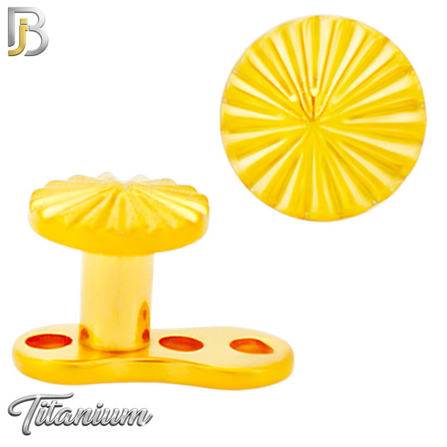 G23-DM27 -  14g G23 Titanium Anchor paired with a Surgical Steel Round Dermal Top (Pack of 6)