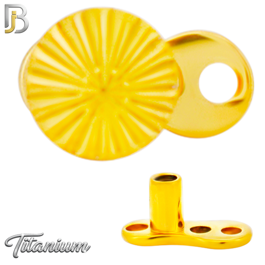 G23-DM27 -  14g G23 Titanium Anchor paired with a Surgical Steel Round Dermal Top (Pack of 6)