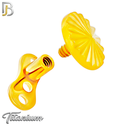 G23-DM27 -  14g G23 Titanium Anchor paired with a Surgical Steel Round Dermal Top (Pack of 6)