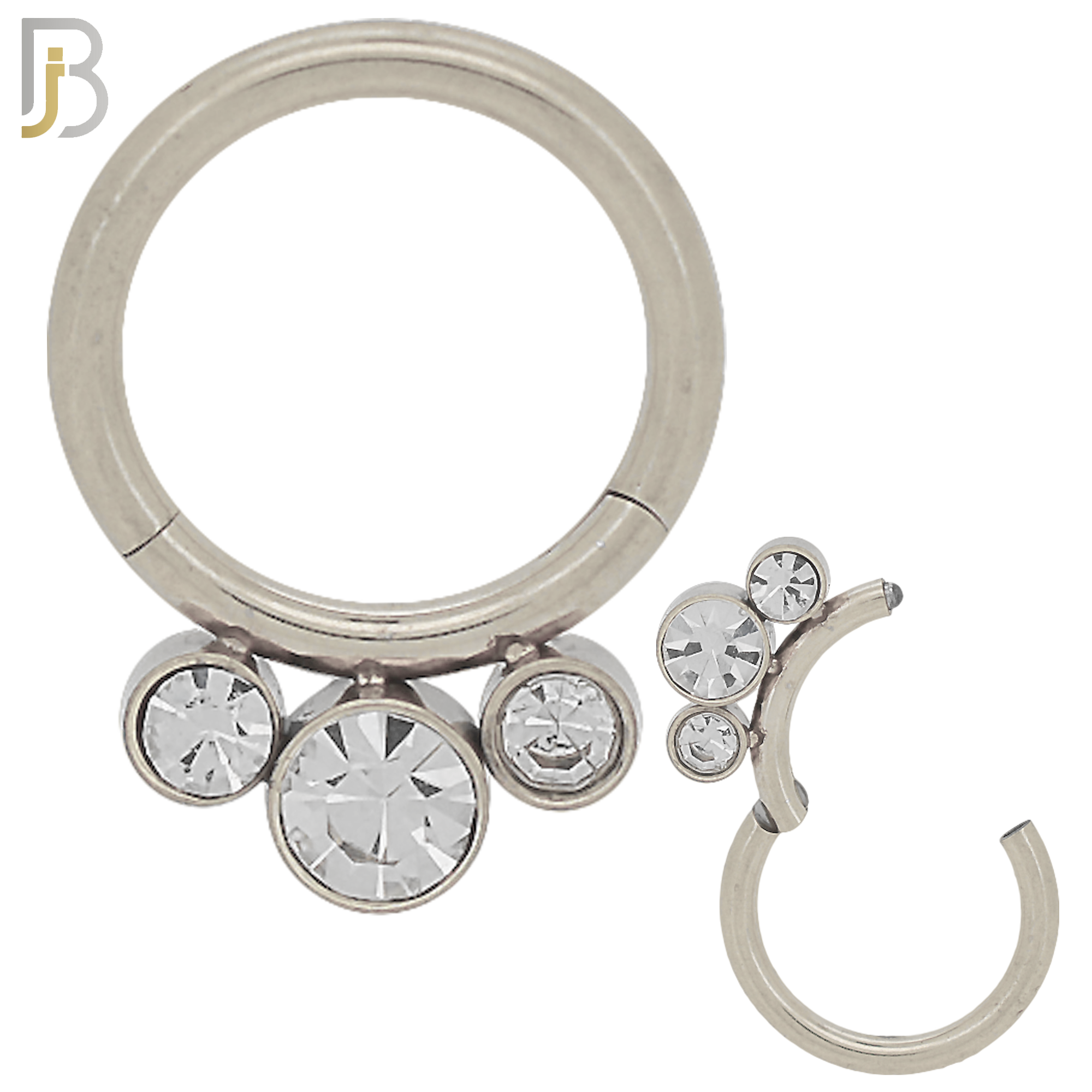 CT89 -  316 Stainless Steel Hinged Hoop with CZ Gems Nose Rings (PACK OF 6) image 0