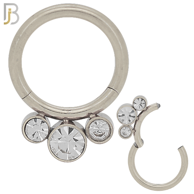 CT89 -  316 Stainless Steel Hinged Hoop with CZ Gems Nose Rings (PACK OF 6) image 0