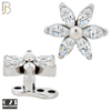 G23-DM22 - G23 Titanium Anchor with Surgical Steel Six Petal Flower Dermal Top image 0