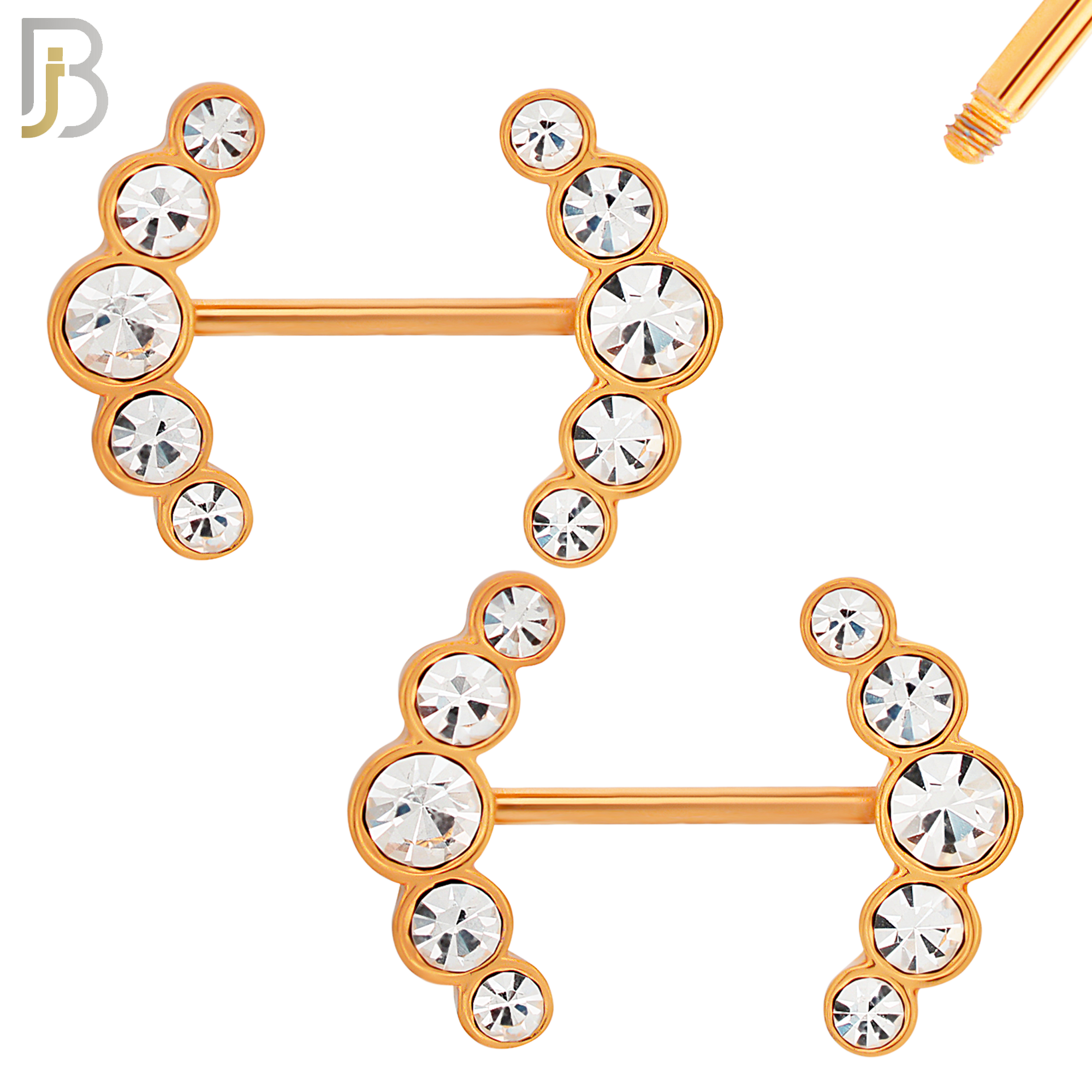 NP23 - 316L Surgical Steel Screw Double Sided Alloy Anchor with Zircon Pair image 6