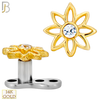 14-G23-DM22 - 14k Titanium Anchor and 14k Gold Top Flower Dermal - Internally Threaded image 0
