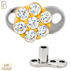 14-G23-DM08 - 14k Titanium Anchor with 14k Gold Top Round Flower Dermal - Internally Threaded image 1