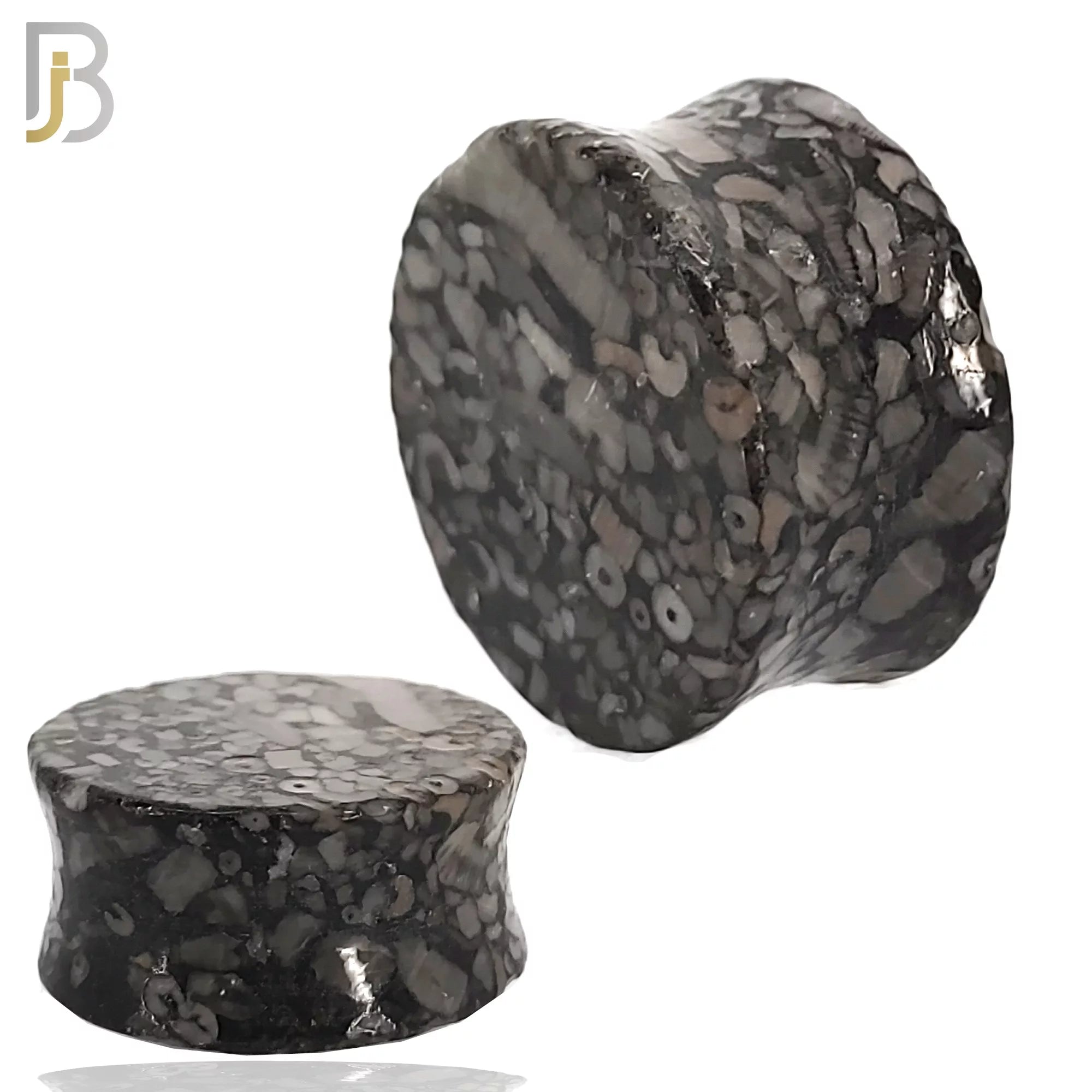 PSTTA - Natural Stone Turritella Agate Double Flare Plug image 0