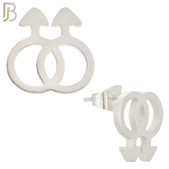 ES09 - 316L Stainless Steel LGBT Gay Symbol Gender Design Earring Stud image 1