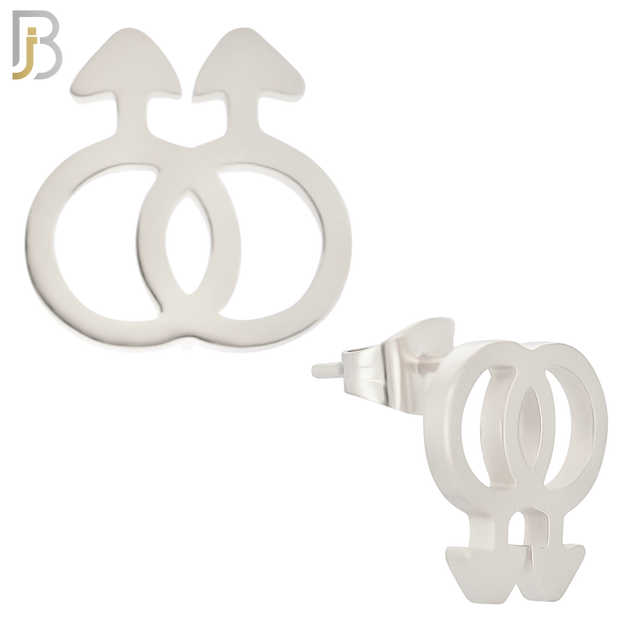 ES09 - 316L Stainless Steel LGBT Gay Symbol Gender Design Earring Stud image 1