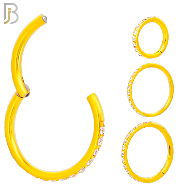 CT94G - 316 Stainless Steel Gold Plated Hinged Hoop with Multi CZ Gems Nose Rings (PACK OF 6) image 0