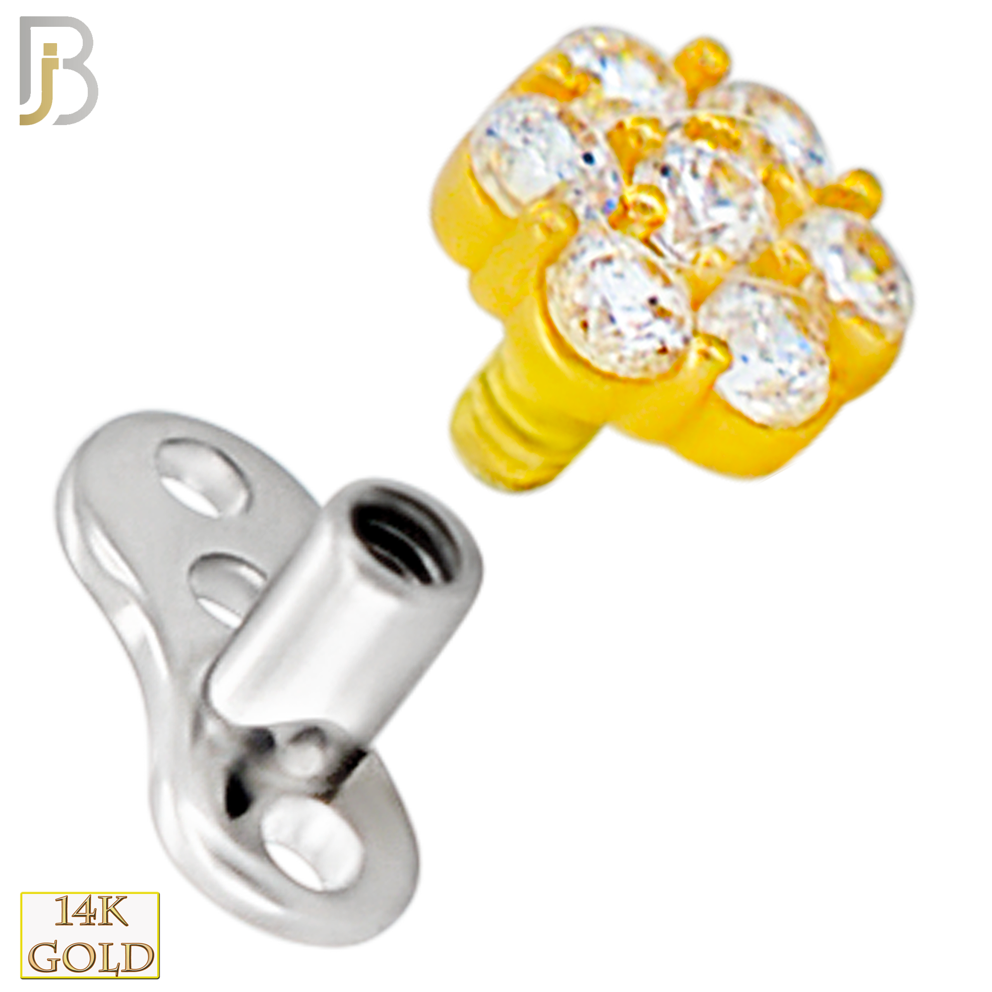 14-G23-DM08 - 14k Titanium Anchor with 14k Gold Top Round Flower Dermal - Internally Threaded image 2